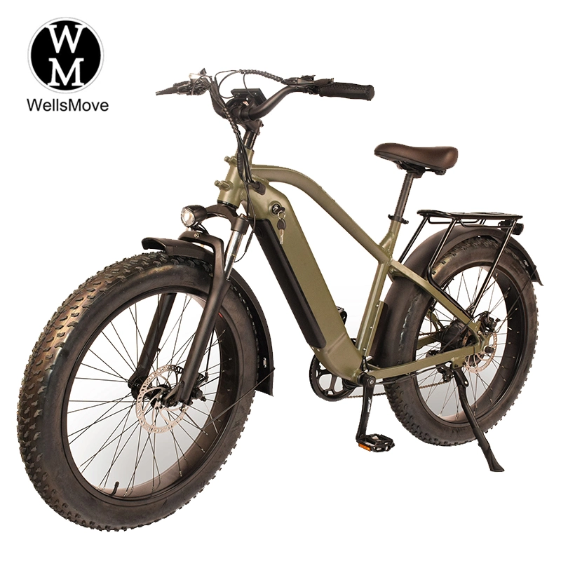 Cycle Dirt Ebike China Removable Battery Factory Price Mountain Fat Tire Bike Electric Bicycle