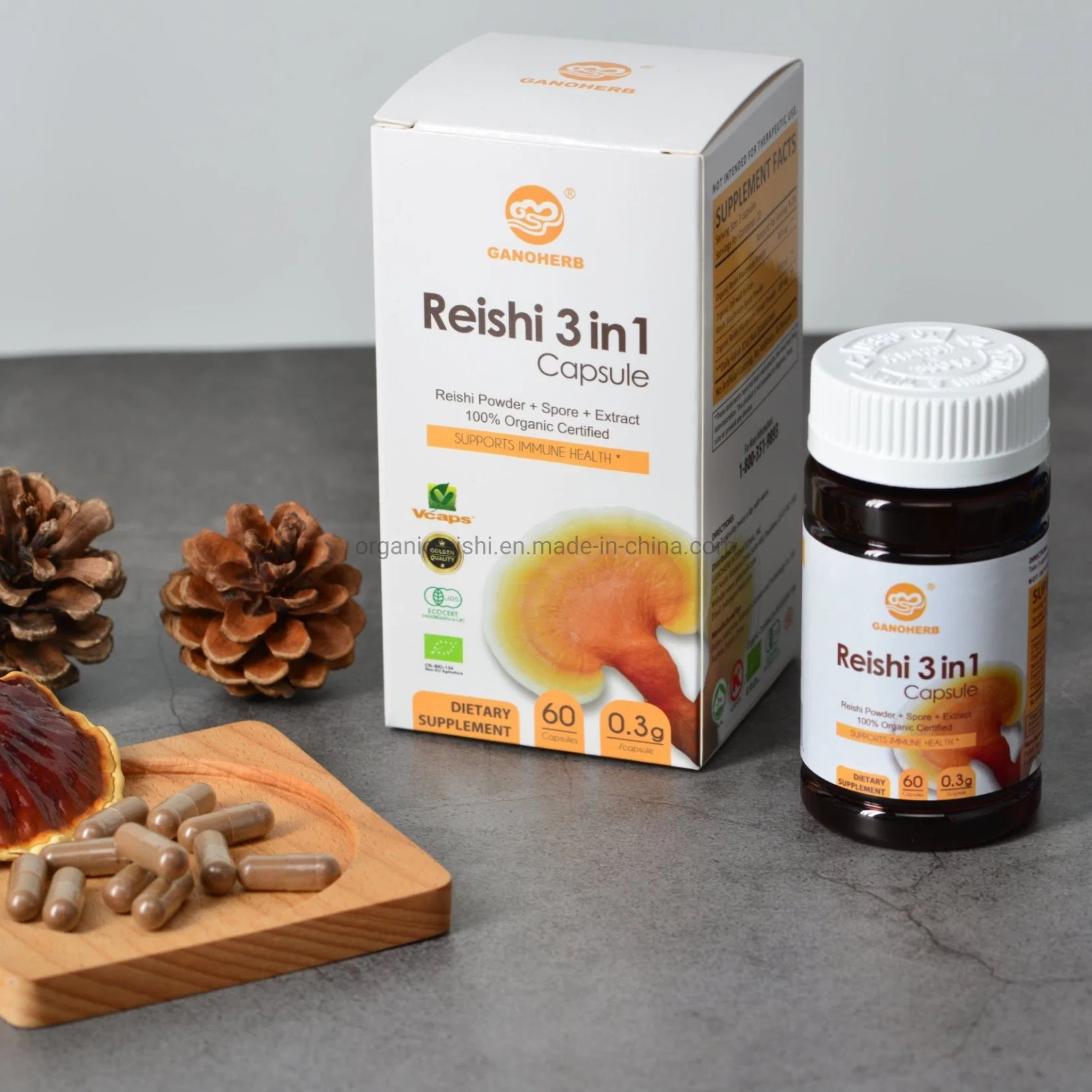 Dietary Plant Extract Supplement Organic Ganoderma Reishi Mushroom Reishi Extract Capsule