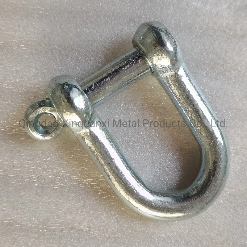 Factory Direct Supply Marine Lifting JIS Type D Shackle Galvanized or Stainless Steel EU Type Dee Shackle