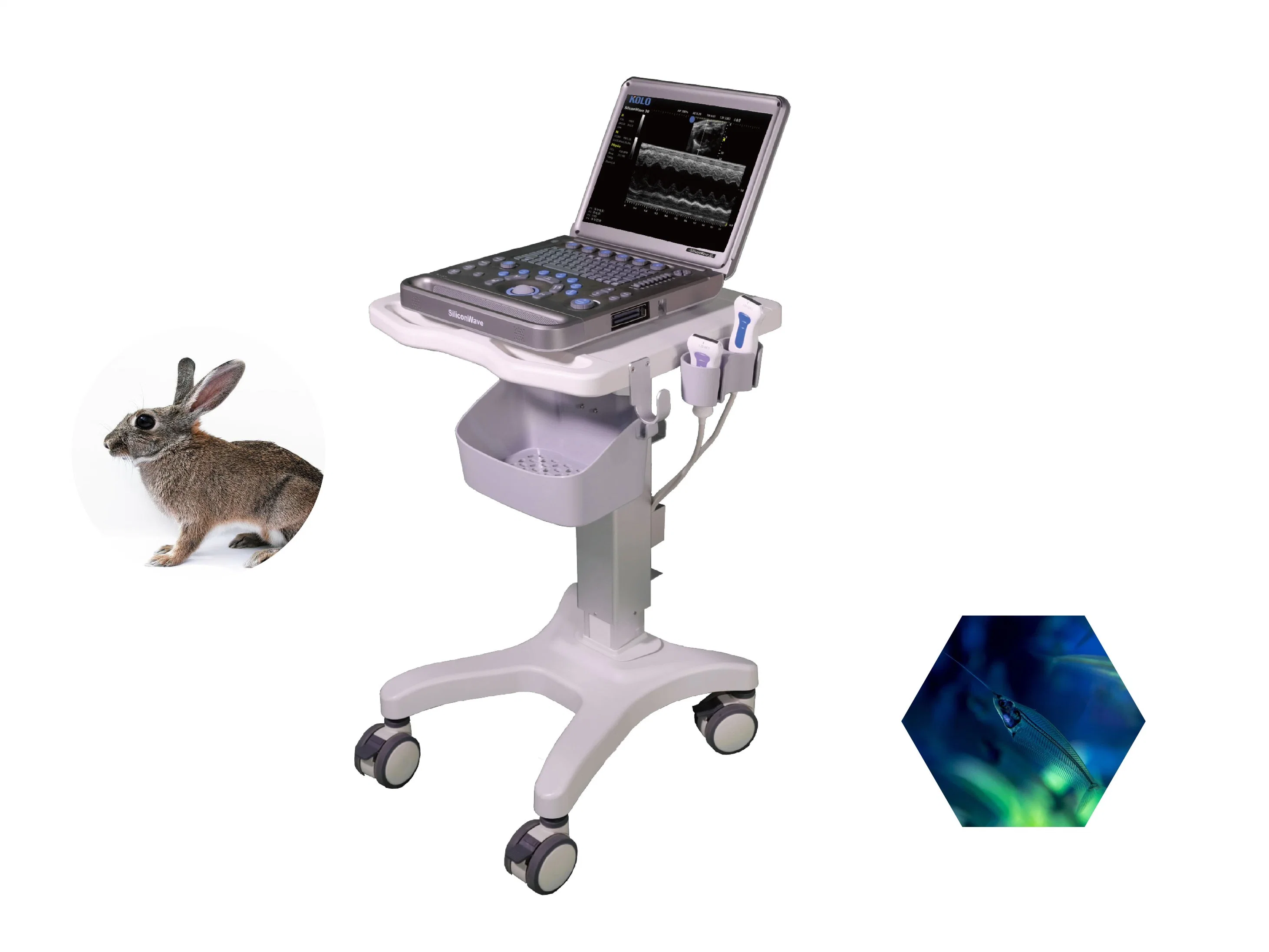 C/PW Mode Handheld Ultrasound Scanner for Laboratory Animals
