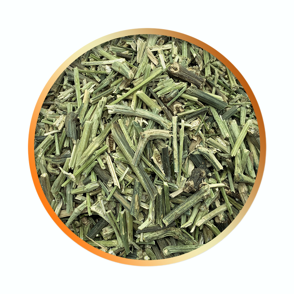 Chuan Xin Lian Hot Sale Natural Herb Andrographis Paniculata Wholesale/Supplier Supplier