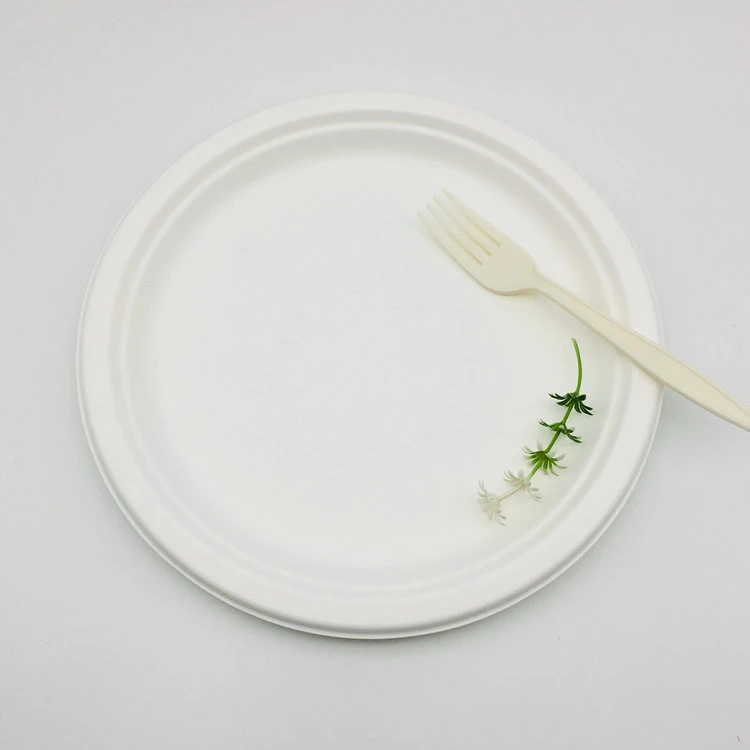 Custom Design Paper Plates Disposable Tableware