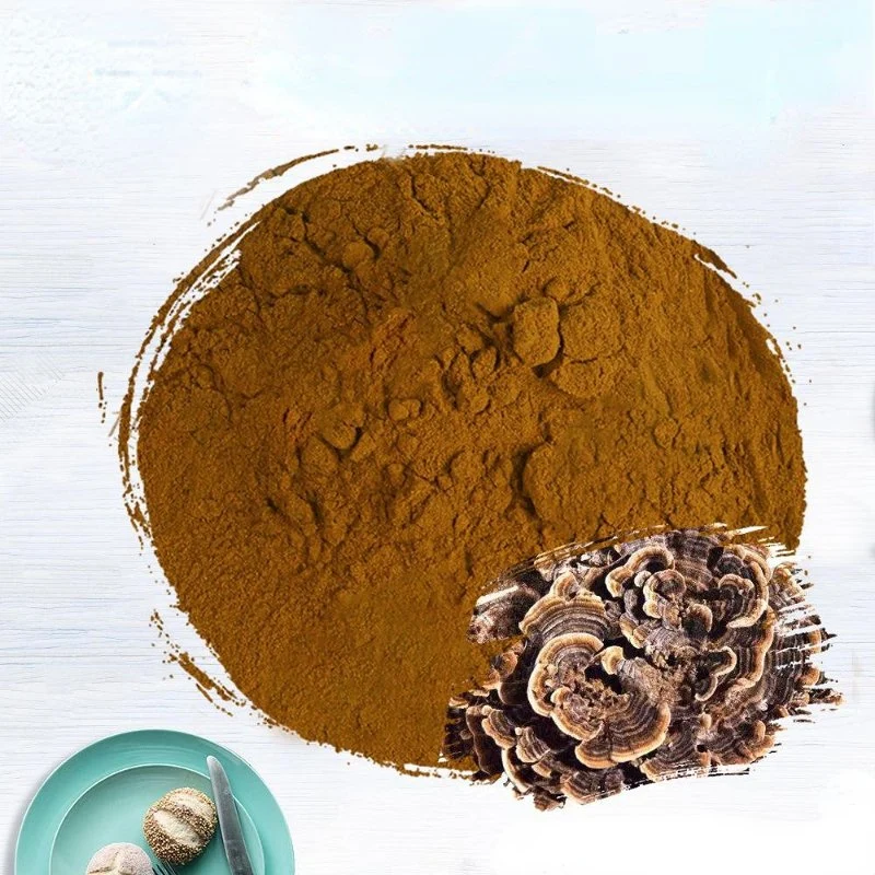 Polysaccharides10%-50%/Triterpene 1% Mushroom Extract Coriolus Versicolor Extract