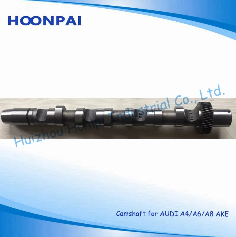 Auto Spare Part Camshaft for Volkswagen/Audi A4 Convertible (8H7, B6, 8HE, B7)/A6 Avant (4A, C4) 058109022B(IN) 058109021B(EX) 074109101J/Bmm/BPW/Brc A3 2.0tdi