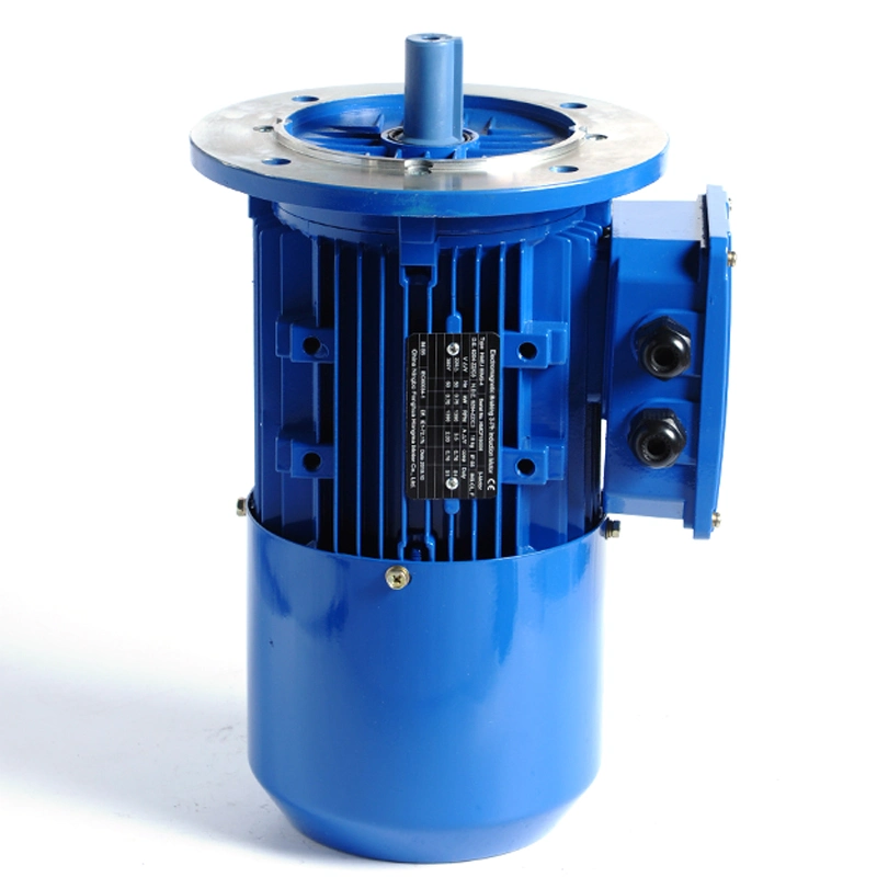 China Factory 0.75kw Three Phase Induction Motor 750rpm