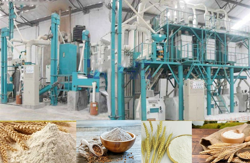 Small-Scale Automatic Wheat Corn Flour Machine with Daily Output of 20 Tons