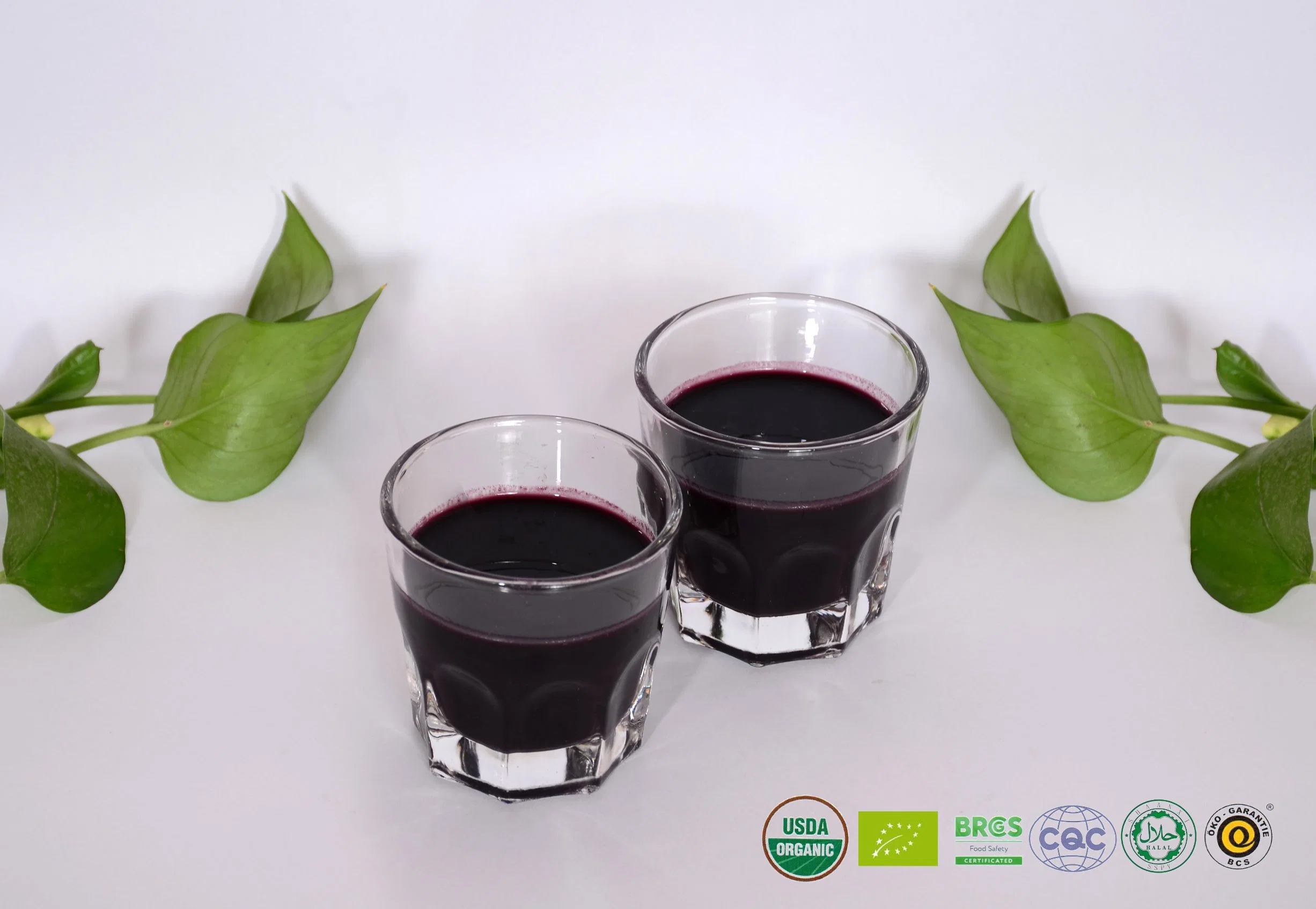 Anti-Aging and Anti-Oxidation Black Goji Juice From Fresh Balck Goji Berry