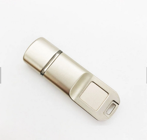 Wholesale/Supplier USB Flash Drive Fingerprint Encryption Pendrive USB 2.0