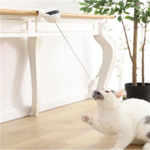 Factory Wholesale/Supplier New Hot Selling Automatic Electric Cat Teaser Lifting Ball Cat Teaser Self-Hi Cat Pet Toy