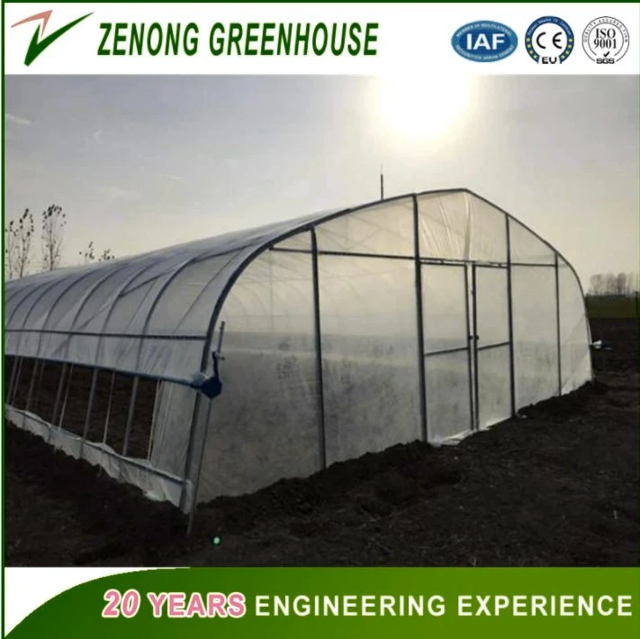 Low Cost Hot Sale Agricultural/Commercial Film Greenhouse for Flowers/Vegetables/Fruits Planting.