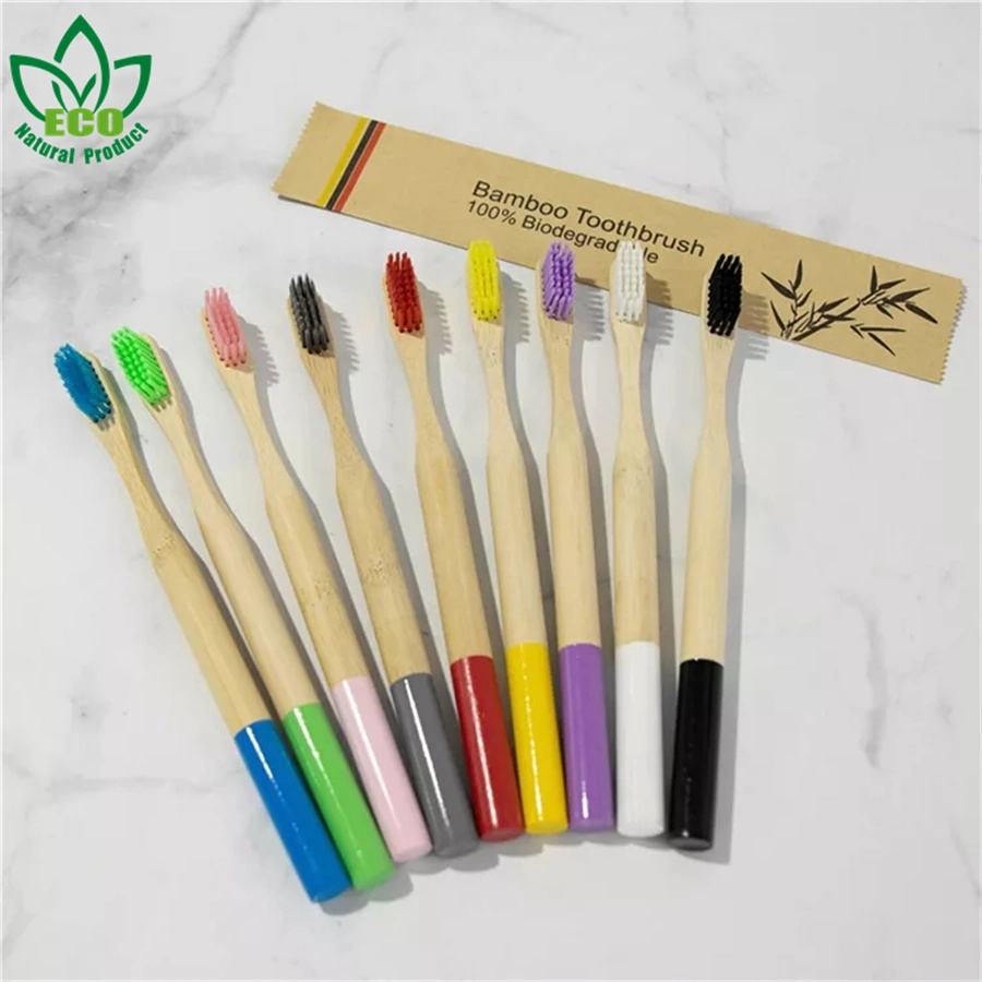 China Product Travel Toothbrush Hotel Disposable Round Handle Color Household Hospitality Toothbrush