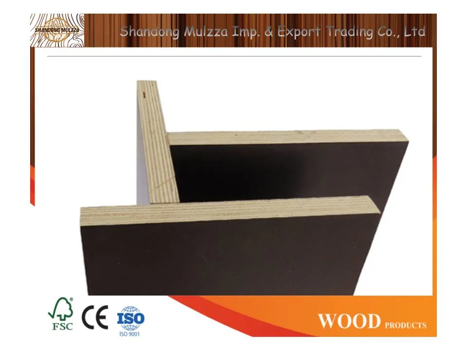 1220X2440X18mm Waterproof Poplar Core Black Film Faced Plywood for Construction Shuttering