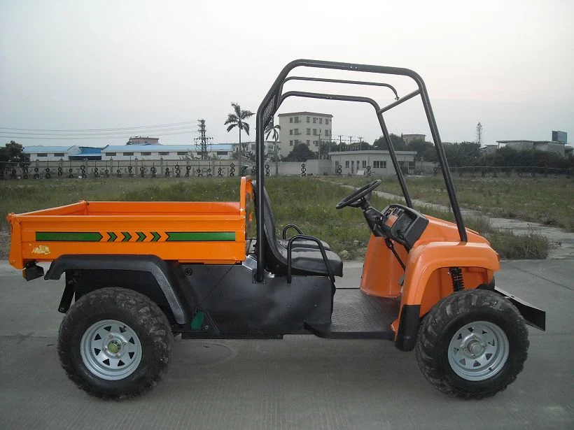 Top Speed 30km/H Golf Cart Utility Vehicles with Cargo Box