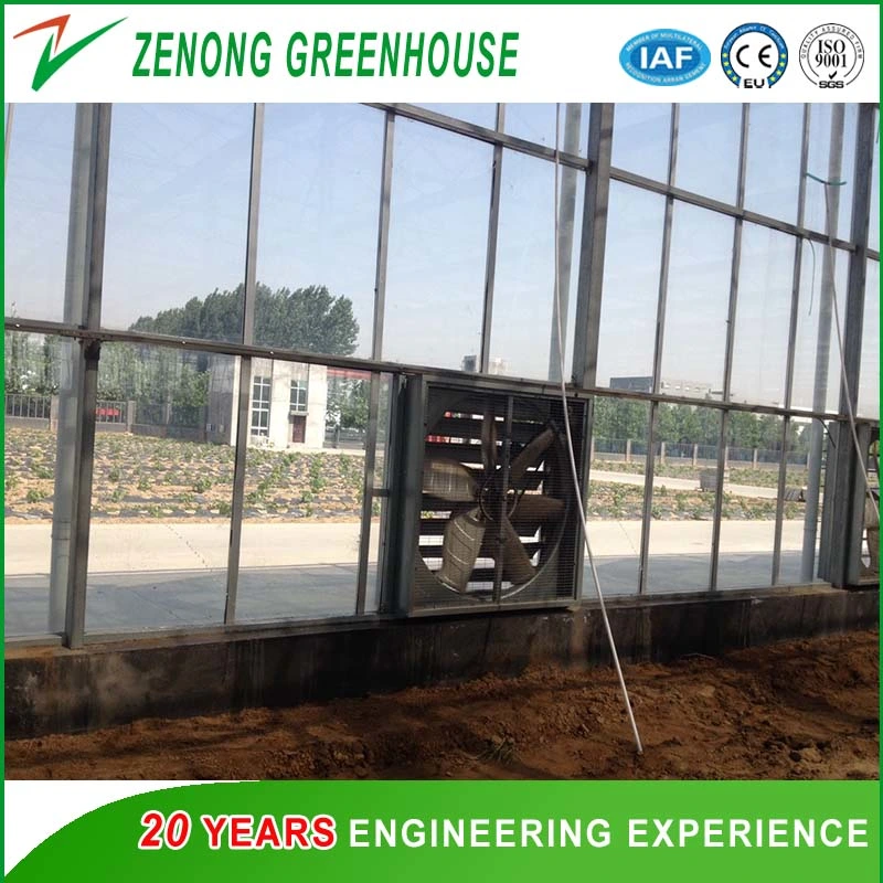 Centrifugal Heavy Hammer Exhaust Fan for Poultry Farm and Greenhouse