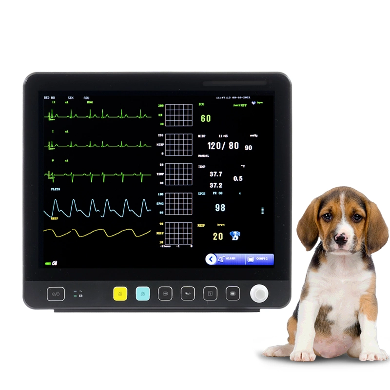 Vet Equipment Portable Multi-Parameters Veterinary Monitor for Pet Hospital and Pet Clinic