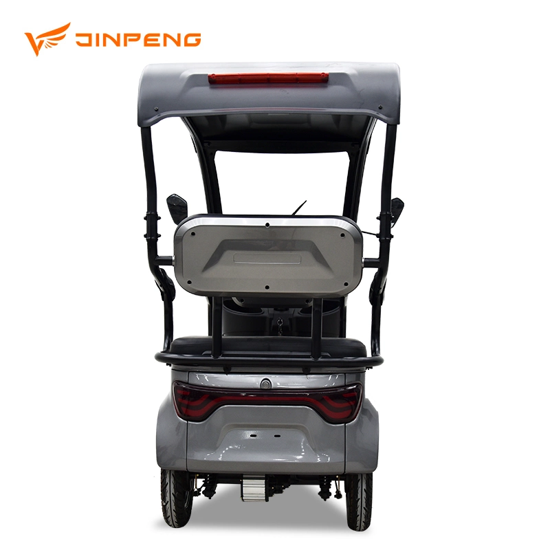 New Arrival Electric Tricycle with Roof Made in China