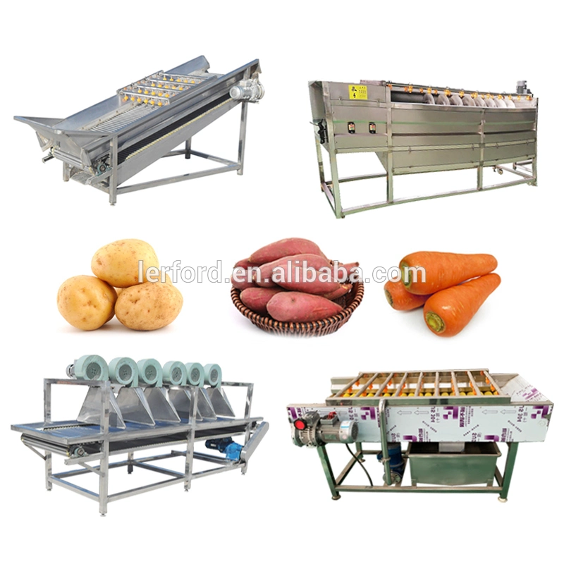 Industrial Vegetable Peeling Machine Watermelon Peeler Baby Carrot Cutting Washing Peeling Drying Production Line