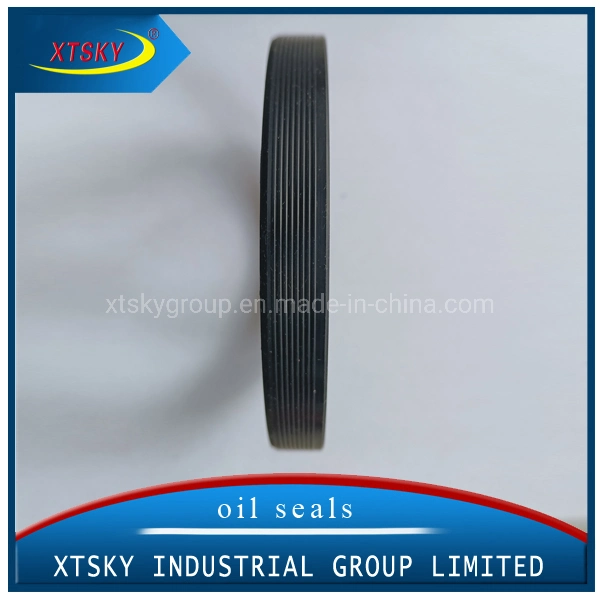 High quality/High cost performance with NBR Material Oil Seal 85*105*12