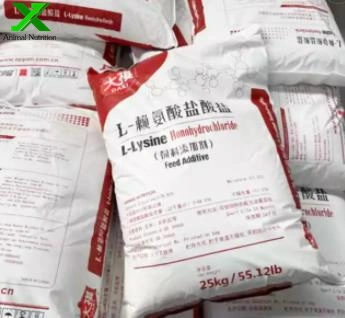 Meihua/Fufeng/Eppen/Golden Corn Brand L-Lysine HCl 98.5%