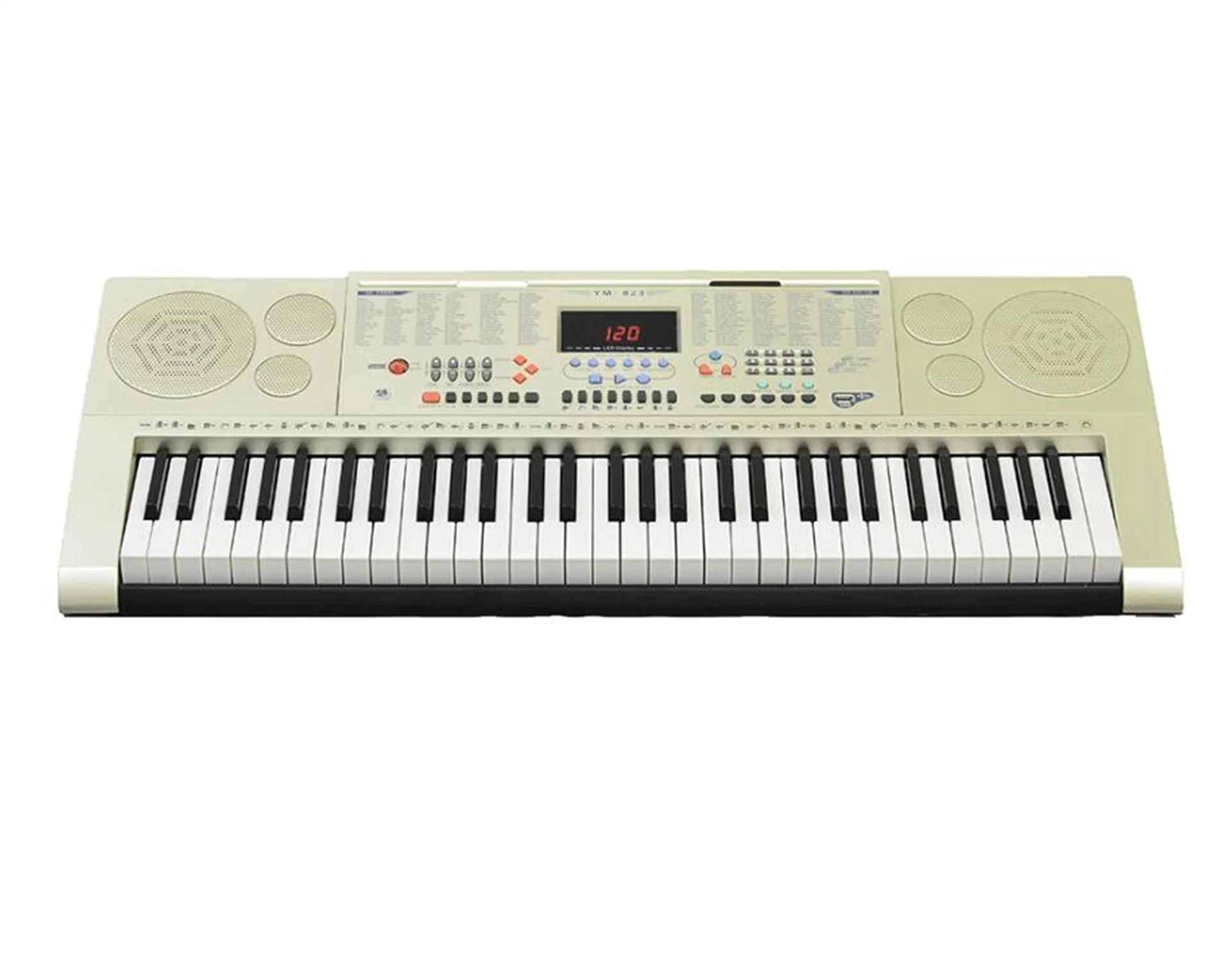 Professional Teaching Electronic Keyboards