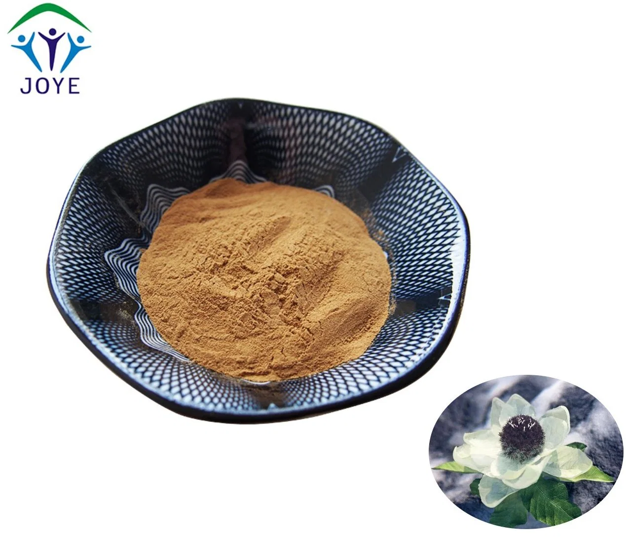 Chinese Supplier Power Supply Snow Lotus Extract