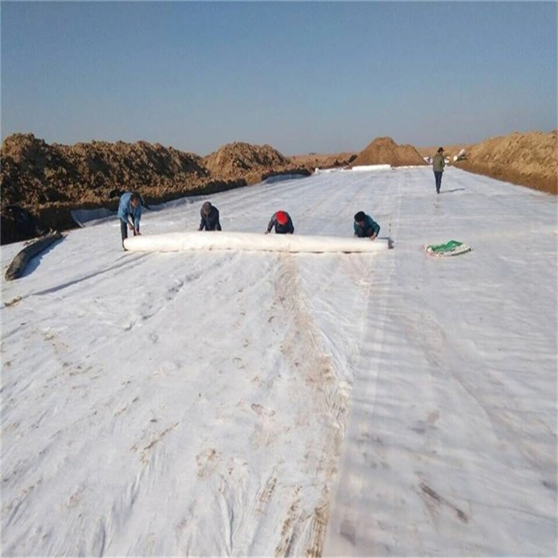 Slope Protection Fabric Non Woven Needle Punched Geotextile