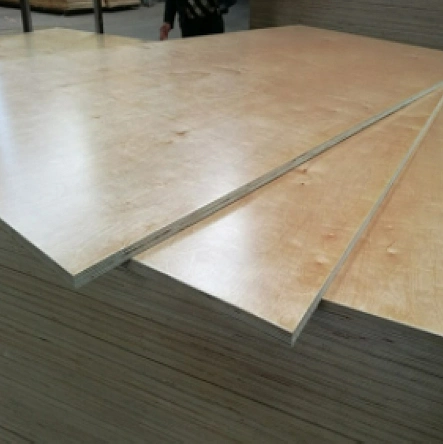 Hot Sale Construction Use Full Birch Plywood 1250X2500X12mm Exterior Glue for Building Material