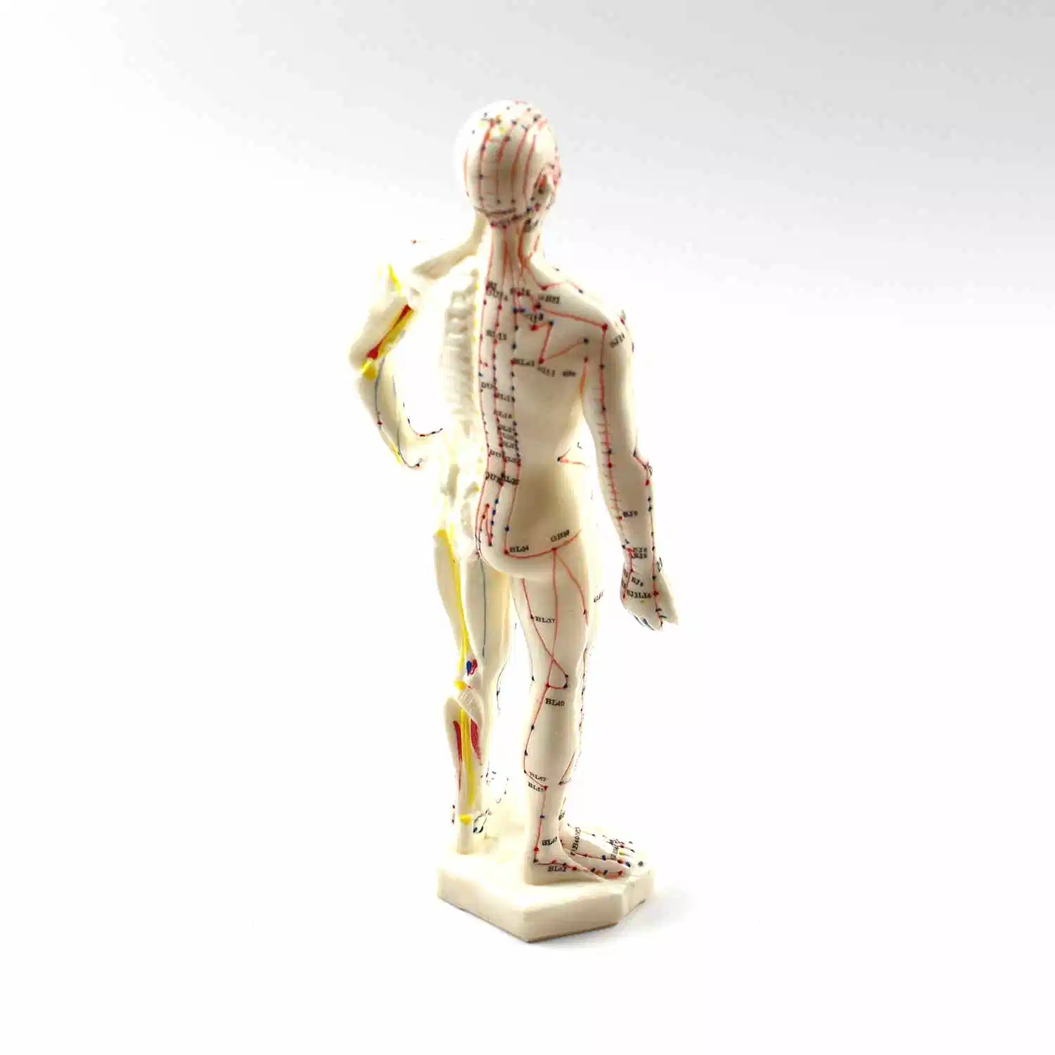 Human Body Acupuncture Model 26cm (M-1-26)