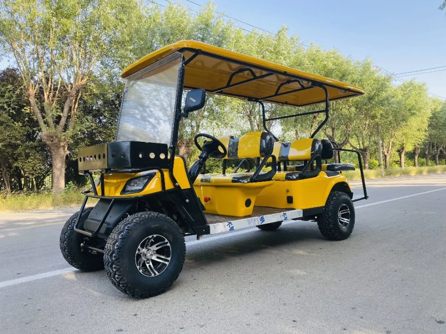 Non-Polluting Sightseeing Electric Golf Car