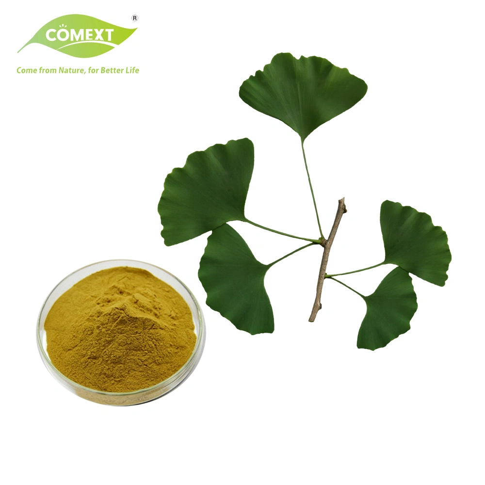 Comext Ep USP Standard Natural Ginkgo Biloba Extract