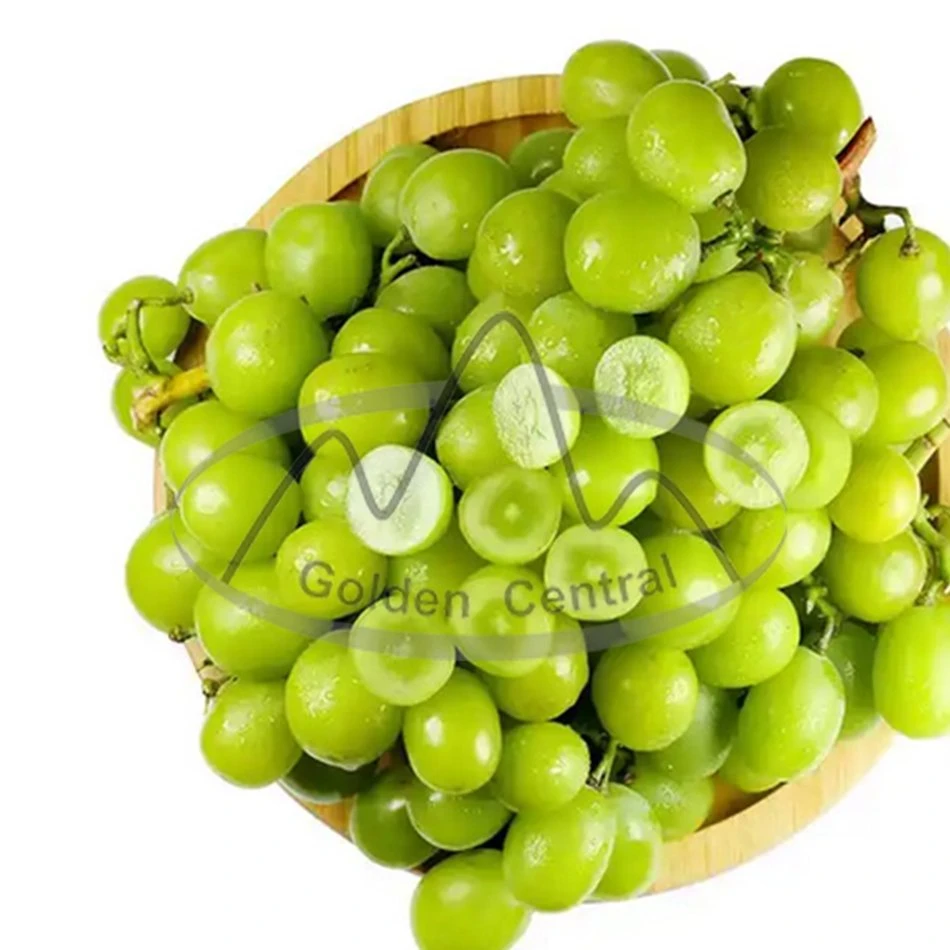 2023 New Season High quality/High cost performance  Sweet Shine Muscat Green Grapes From China