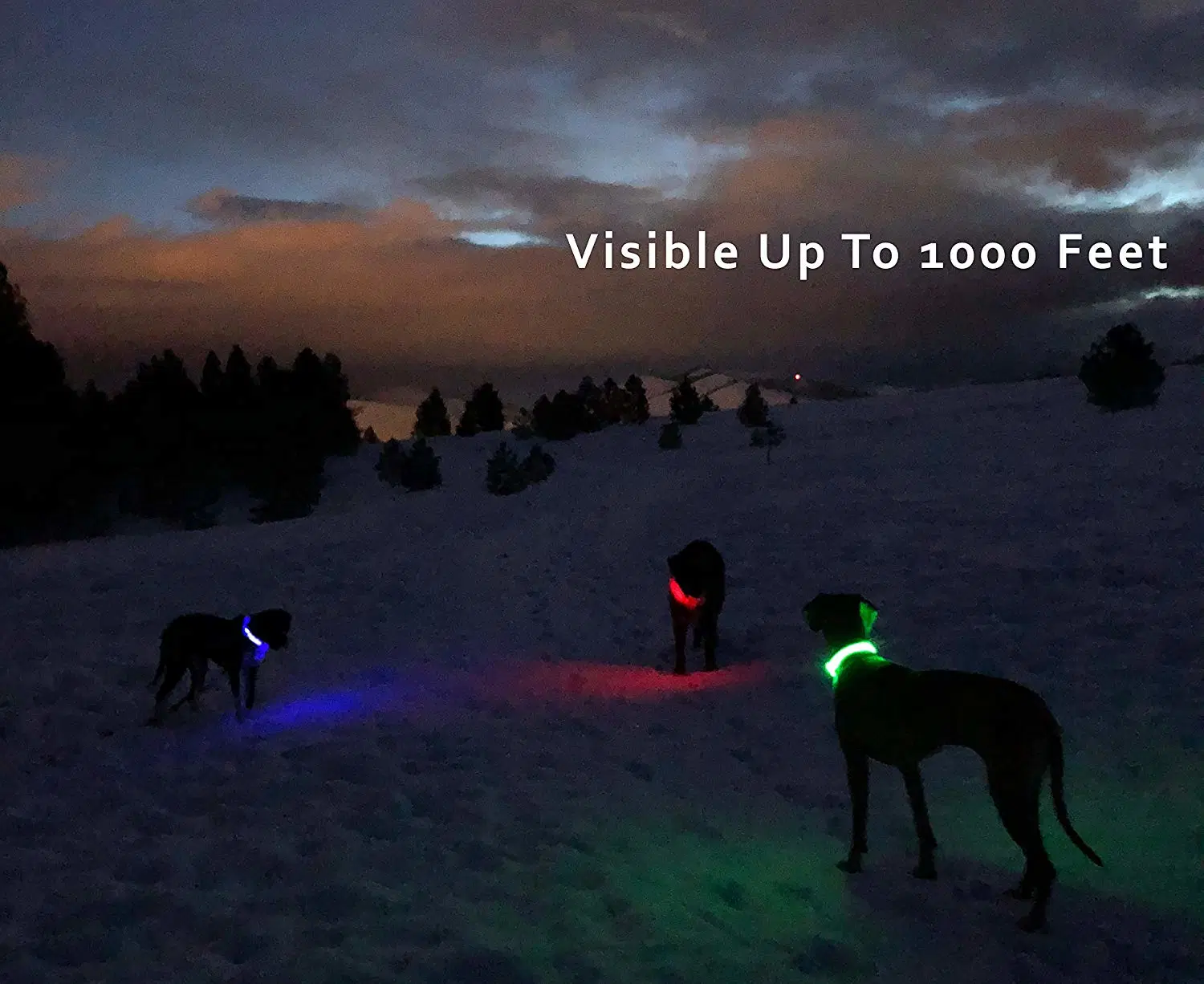 New Factory Wholesale/Supplier LED Pet Collar Rechargeable