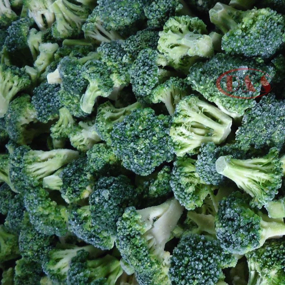 3-5cm Prix de gros de la coupe de fleuret de brocoli IQF congelé.