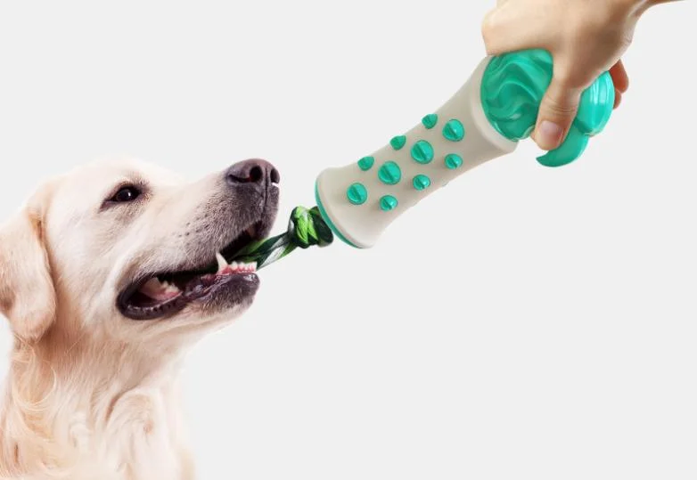 Nuevo producto plástico para mascotas Perros Toys Color verde