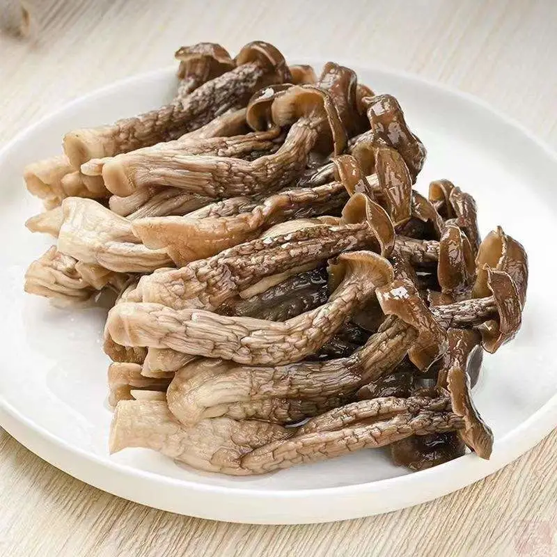 Chinese Hearbal Medicine Deer Antler Mushroom Good for Health Organic Tea