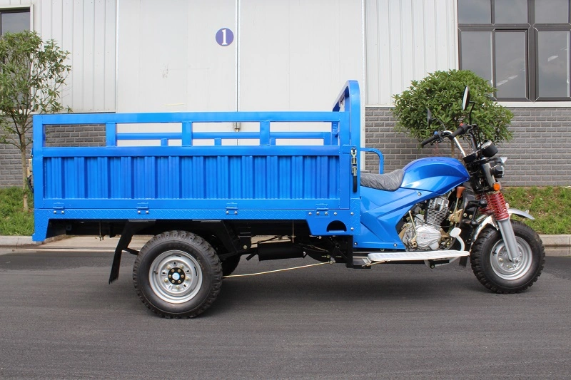 Hree Wheeled for Cargo Electric Cargo Tricycle Auto Rickshaw Passenger Wheel Motorcycle