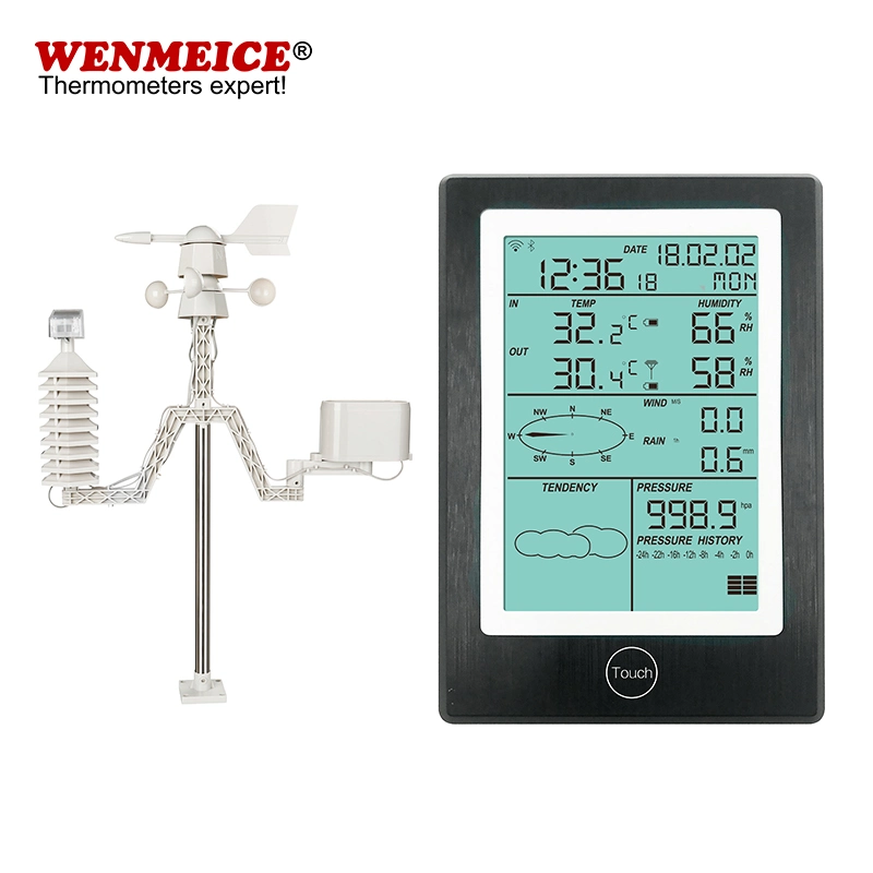 WiFi Version Professional Weather Station for Wind Speed Rainfall Air Pressure Temperature and Humidity