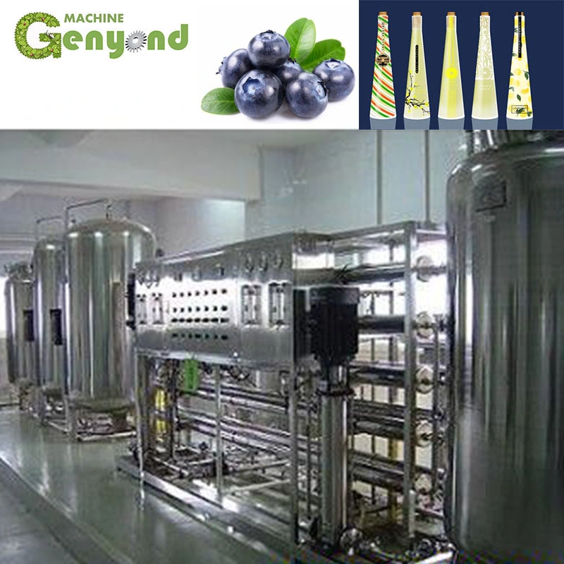 Blueberry Grape Apple Fruit Wine Making Machine for Wine Factory