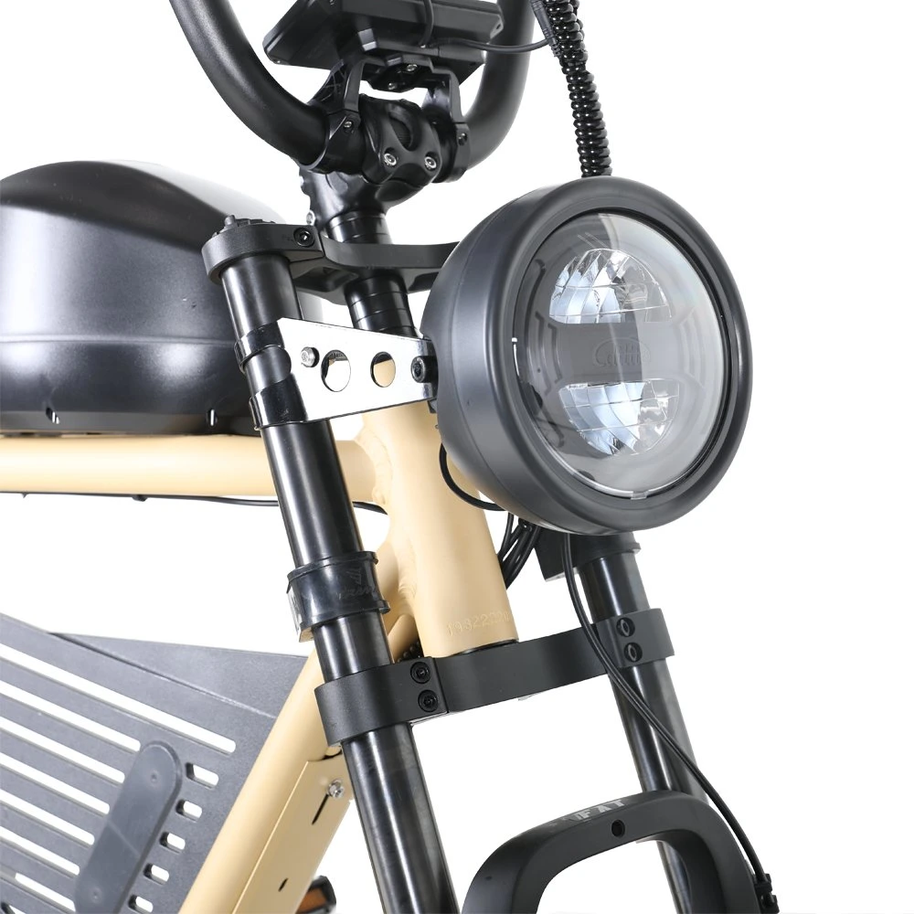 2023 Electric Motorcycle Style Vintage Ebike 48V 500W 750W Suspension Retro Electric Bike