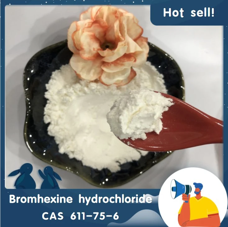 Manufacturer Supply Bromhexine Hydrochloride CAS 611-75-6 in Stock