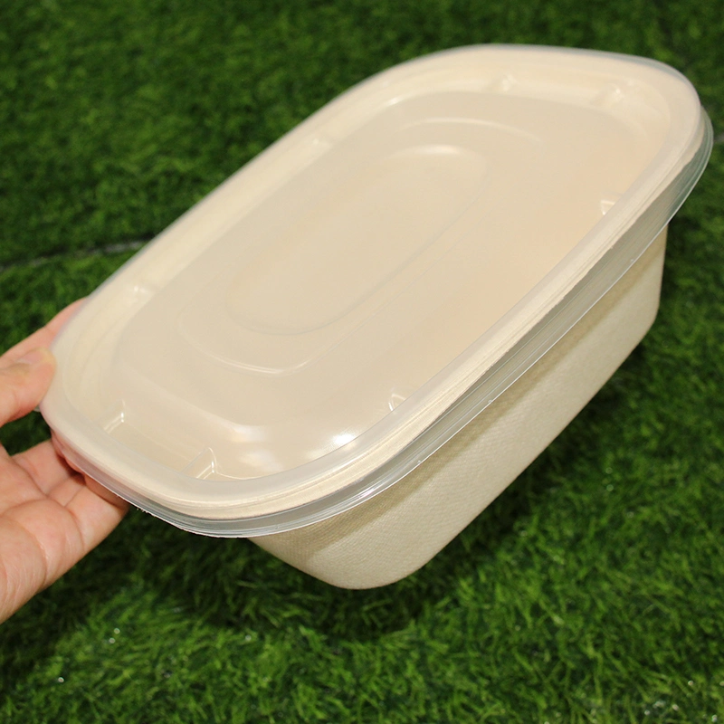 1300ml biodégradable personnalisé la bagasse 850ml Clamshell contenants alimentaires Food Box Bio à emporter de la charnière à usage unique Boîte à lunch