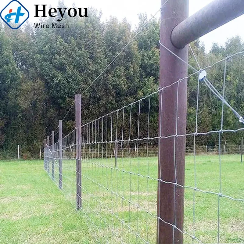 Welded Wire Mesh Dog Kennel Panels Cattle Field Fence Sturdy and Safe Material for Building Dog Runs Play Areas Sheep Wire Deer Fence and Training Facilities