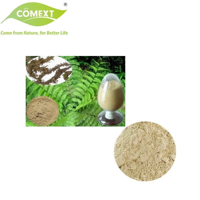 Comext échantillon gratuit de la Chine Fabricant Stock USA 1 % Brown 99 % de la poudre blanche Huperzia serrata extraire Huperzine a pour d' Alzheimer Disease