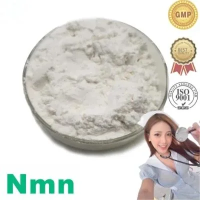 Wholesale CAS 1094-61-7 Dietary Supplements Nicotinamide Mononucleotide Powder Nmn/Nad+/Nr-Cl