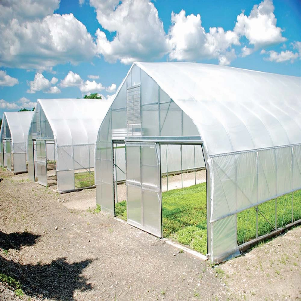 Top Quality China Single Span Polyethylene Film Greenhouse Manufacturer