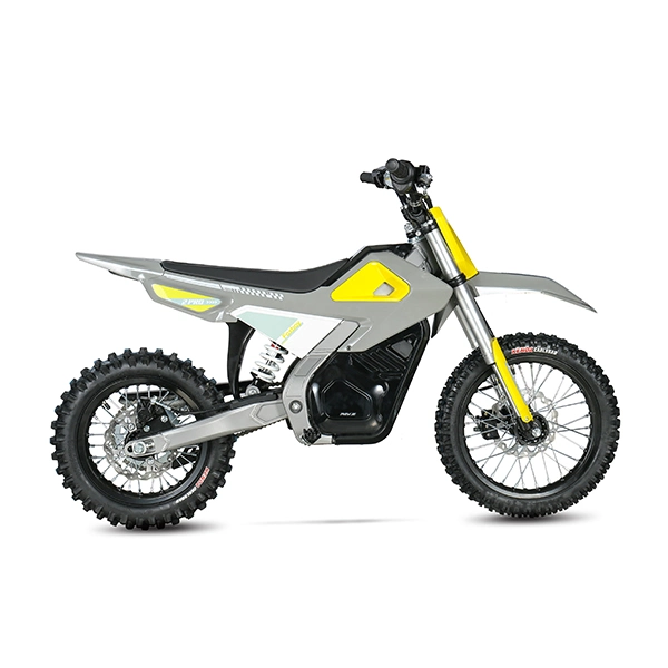 Puissance de 1 500 W batterie au lithium 20 ah 280 N. M. Torque Electric Dirt Bike