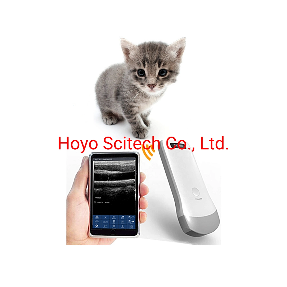 Animal Doppler Ultrasound Diagnostic Apparatus Portable Doppler Ultrasound