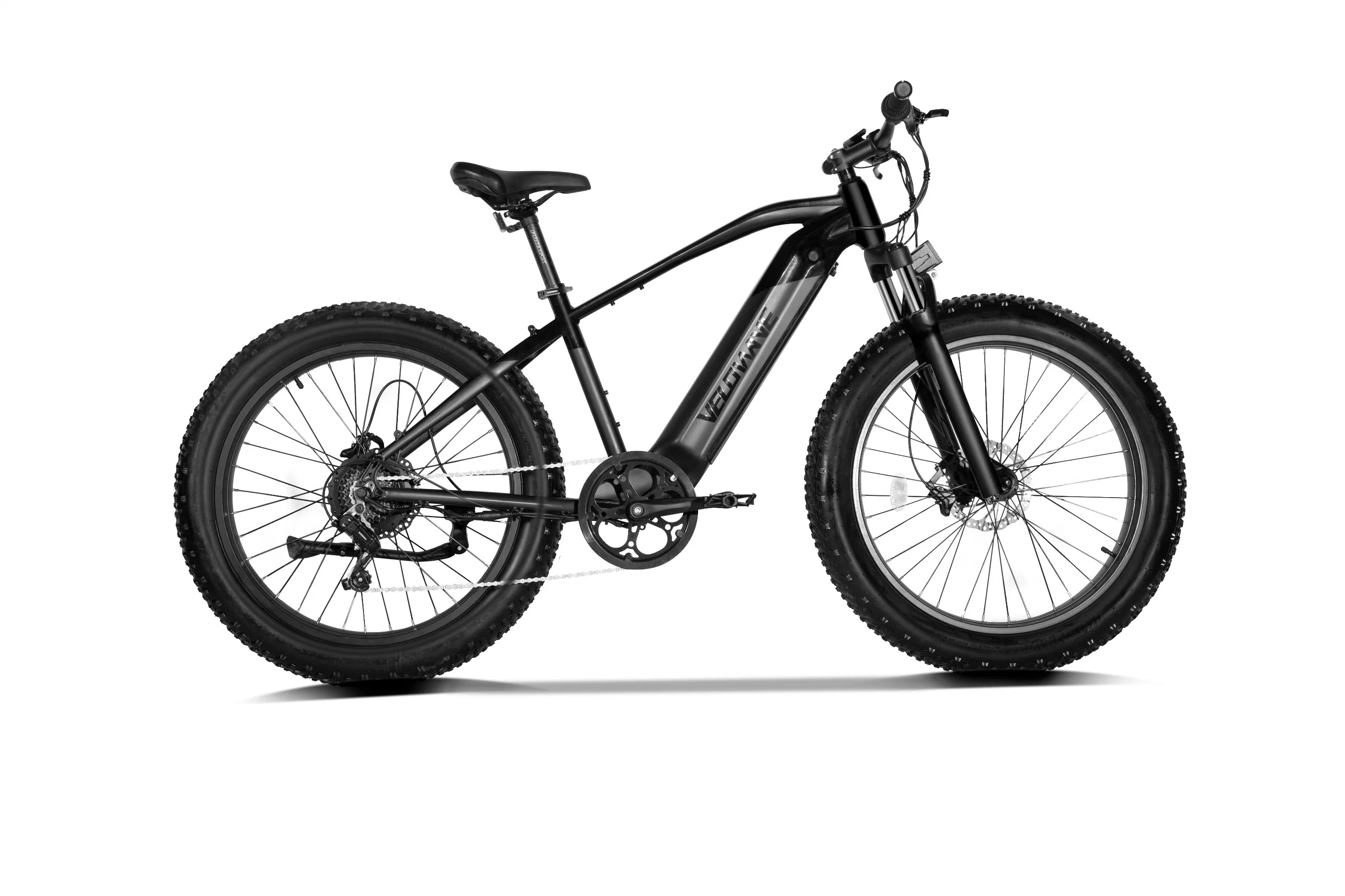 Dirt Electric Bike 750W Motor 48V Lithium Battery Mountain Bike