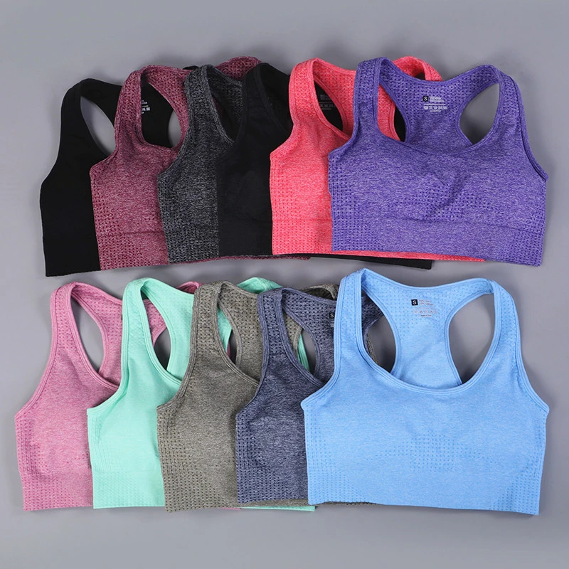 Wholesale 10 Colors Seamless Fitness Sports Bra for Women Running Workout Yoga Bra Female Sports Workout Gym Clothing Top Sportswear