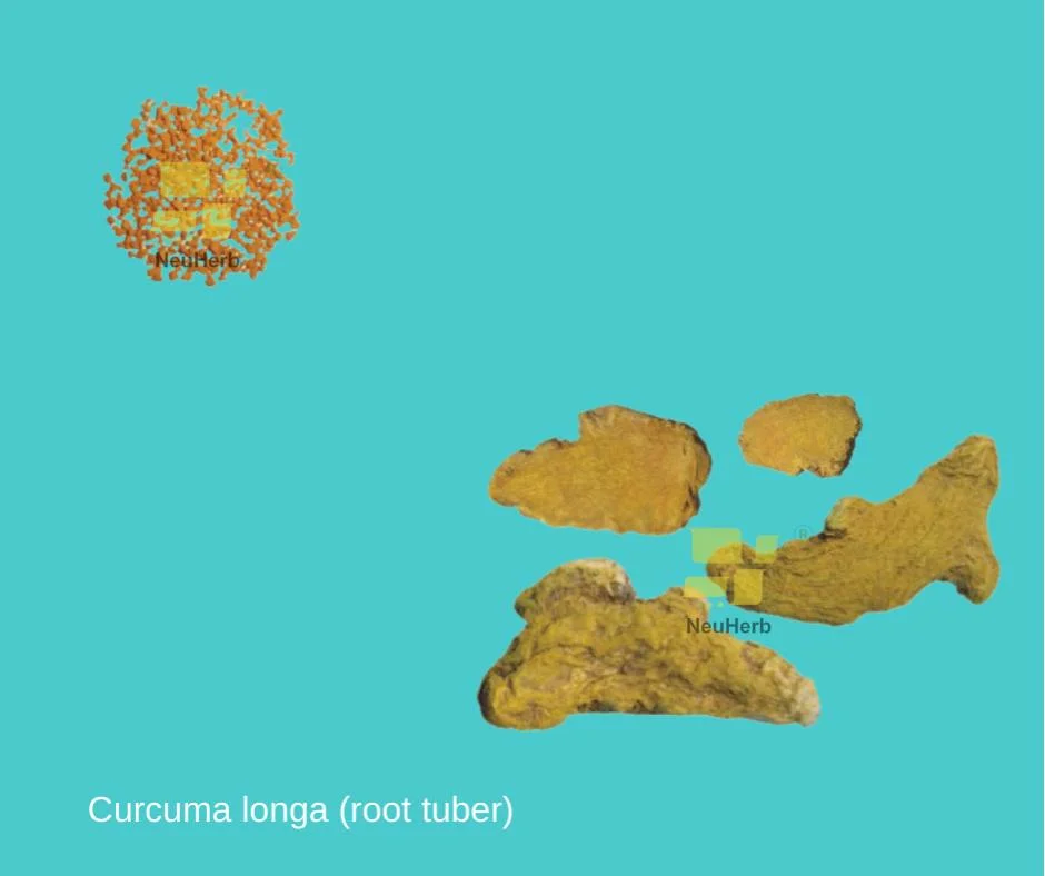 Curcuma Longa (корень клубня) Растительный экстракт концентрированная гранула традиционная китайская травяная медицина